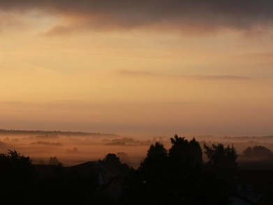 Blick im Nebel